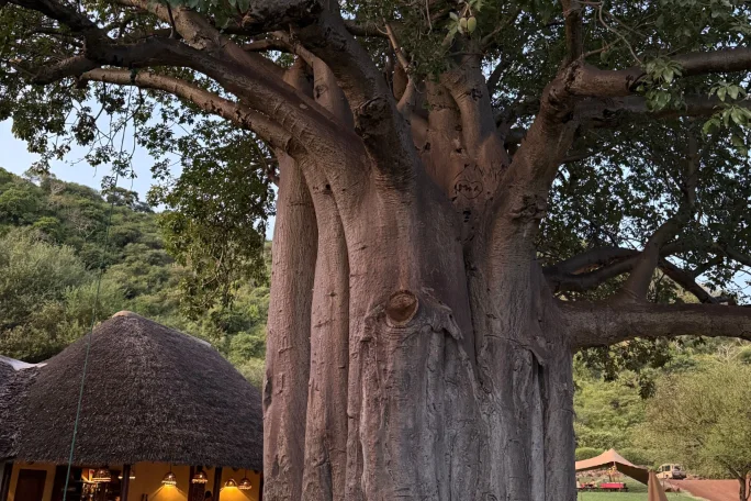 escursione quad con pranzo watamu - baobab village
