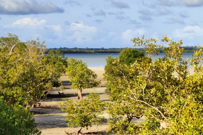 Mida Creek - aperitivo tra le mangrovie -Watamu - escursione quad